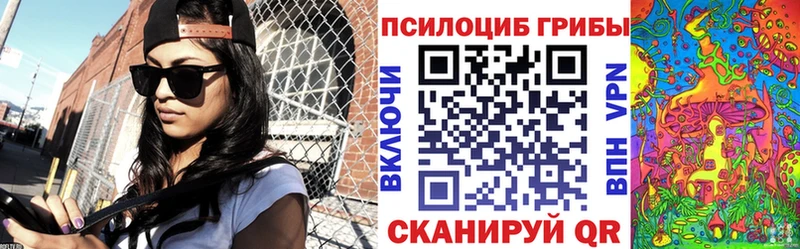 Галлюциногенные грибы мицелий  Купить закладки  Кыштым 
